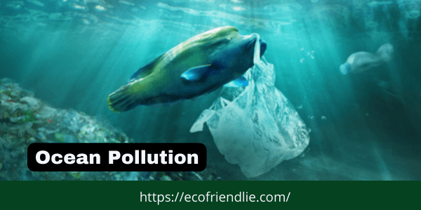 Dramatic Win Plastic Waste Can Curb Ocean Pollution- EcoFriendlie