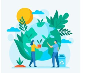 environment affects 