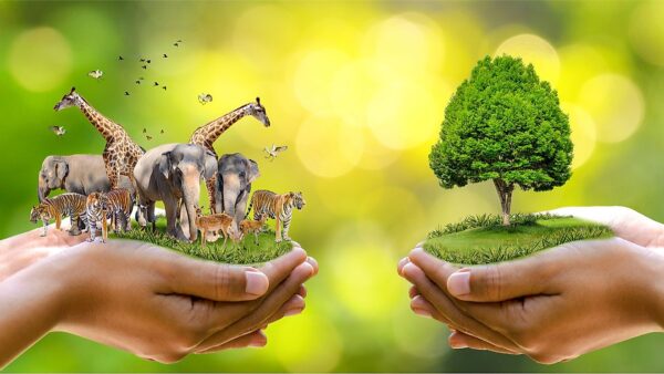habitat preservation