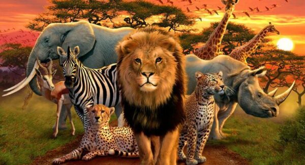 wildlife conservation