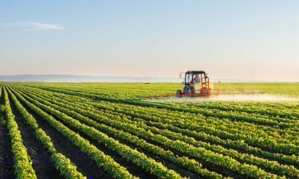 sustainable agriculture