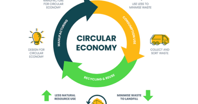 circular economy