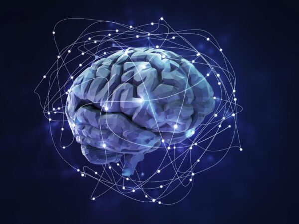 neural network