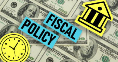 Fiscal Policy