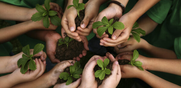 environmental stewardship