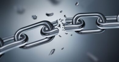 supply chain disruptions