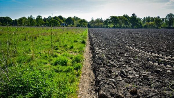 regenerative agriculture